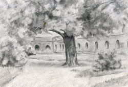 Картинки природы рисуем карандашом Картинки природы рисуем карандашом