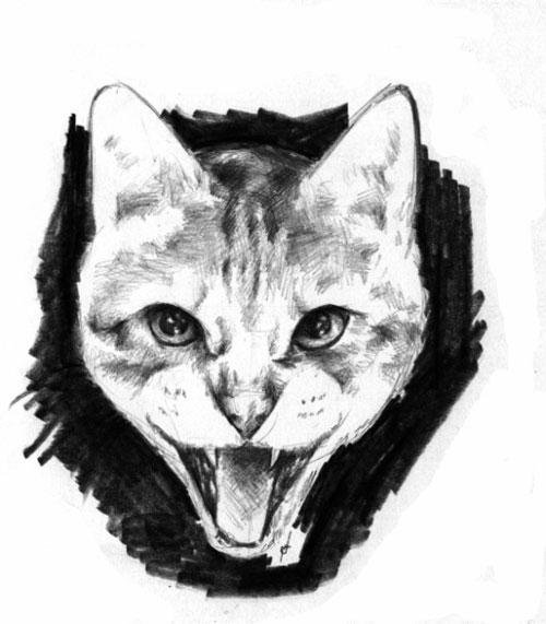 Как нарисовать кота? Как нарисовать кота?