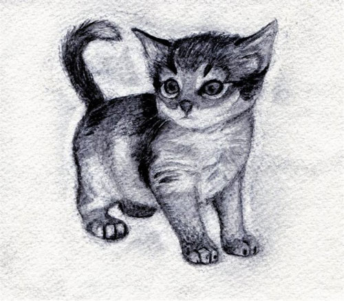 Как нарисовать котенка Как нарисовать котенка