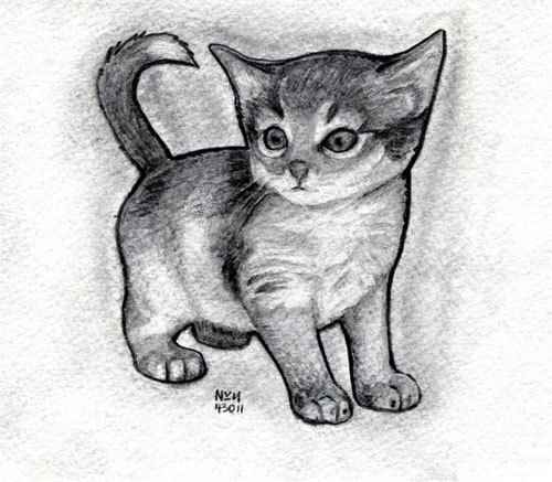 Как нарисовать котенка Как нарисовать котенка